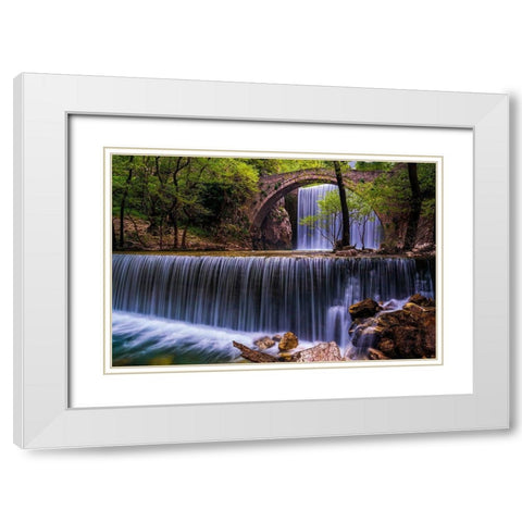 Spring Feast White Modern Wood Framed Art Print with Double Matting by Artemiadi, Dora