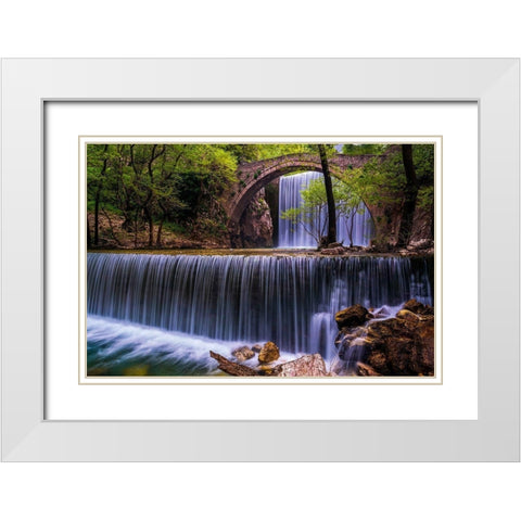 Spring Feast White Modern Wood Framed Art Print with Double Matting by Artemiadi, Dora