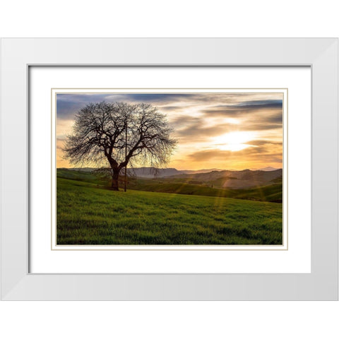 The Tree White Modern Wood Framed Art Print with Double Matting by Artemiadi, Dora