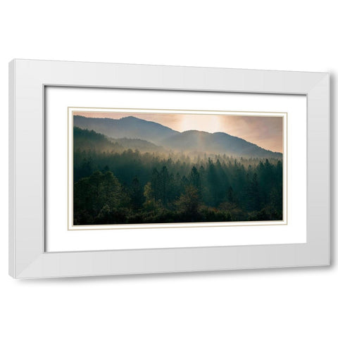 Awakenings White Modern Wood Framed Art Print with Double Matting by Artemiadi, Dora