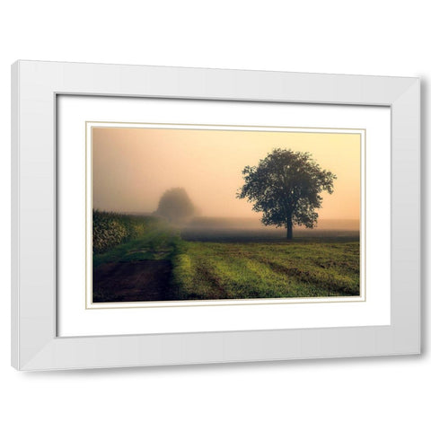 Morning Mist White Modern Wood Framed Art Print with Double Matting by Artemiadi, Dora