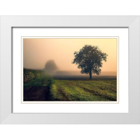 Morning Mist White Modern Wood Framed Art Print with Double Matting by Artemiadi, Dora