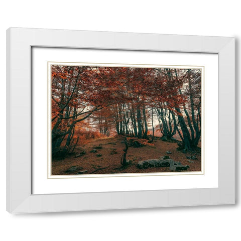 The Orange Season White Modern Wood Framed Art Print with Double Matting by Artemiadi, Dora