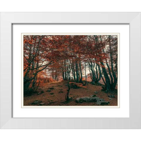 The Orange Season White Modern Wood Framed Art Print with Double Matting by Artemiadi, Dora