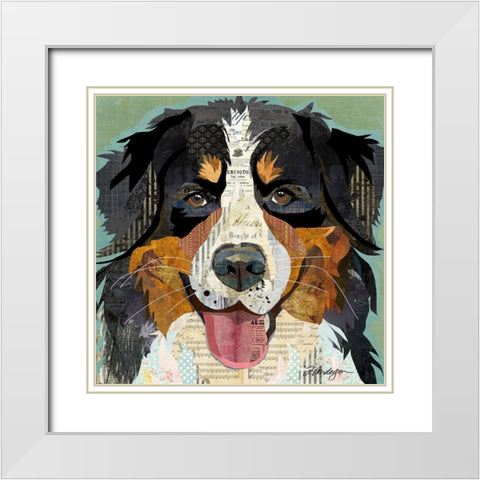 Bernese White Modern Wood Framed Art Print with Double Matting by Anderson, Traci