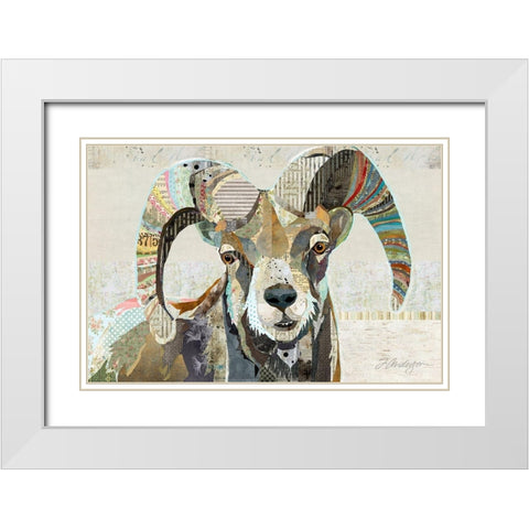 Wild Bighorn Sheep White Modern Wood Framed Art Print with Double Matting by Anderson, Traci