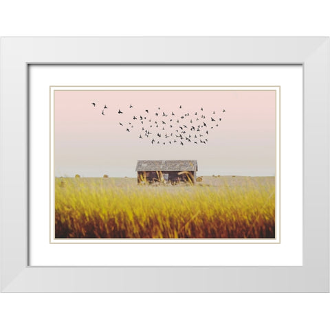 Harvest Barn White Modern Wood Framed Art Print with Double Matting by Annie Bailey Art