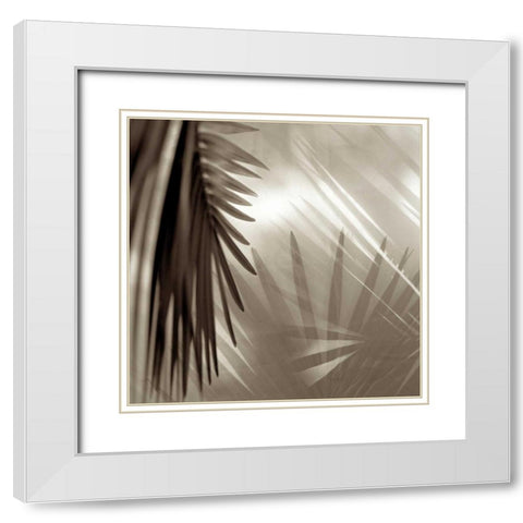 Florison - 55 White Modern Wood Framed Art Print with Double Matting by Blaustein, Alan