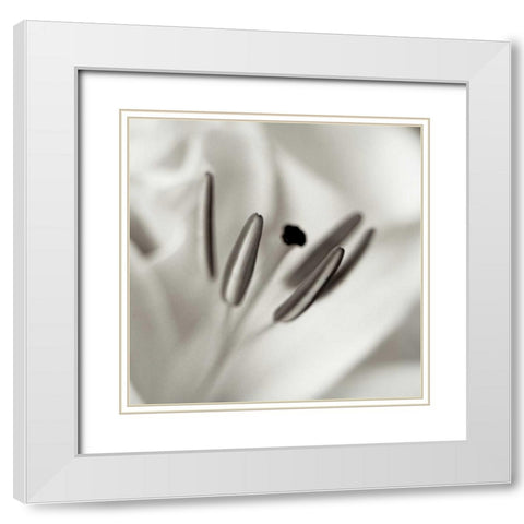 Florison - 52 White Modern Wood Framed Art Print with Double Matting by Blaustein, Alan