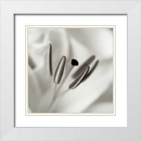 Florison - 52 White Modern Wood Framed Art Print with Double Matting by Blaustein, Alan