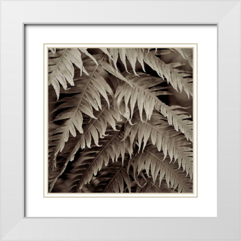 Florison - 51 White Modern Wood Framed Art Print with Double Matting by Blaustein, Alan