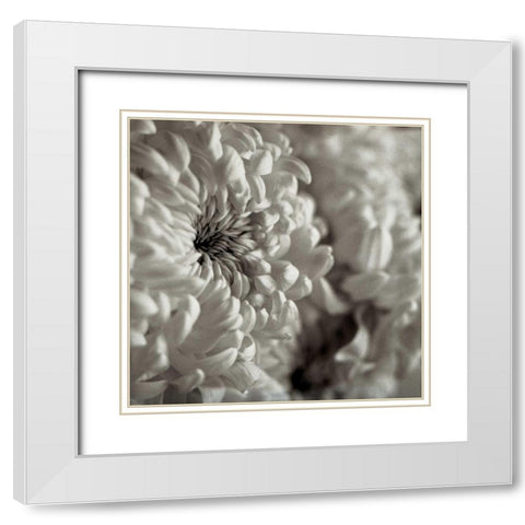 Florison - 46 White Modern Wood Framed Art Print with Double Matting by Blaustein, Alan