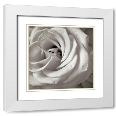 Florison - 43 White Modern Wood Framed Art Print with Double Matting by Blaustein, Alan