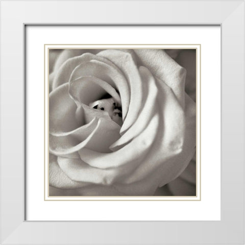Florison - 43 White Modern Wood Framed Art Print with Double Matting by Blaustein, Alan