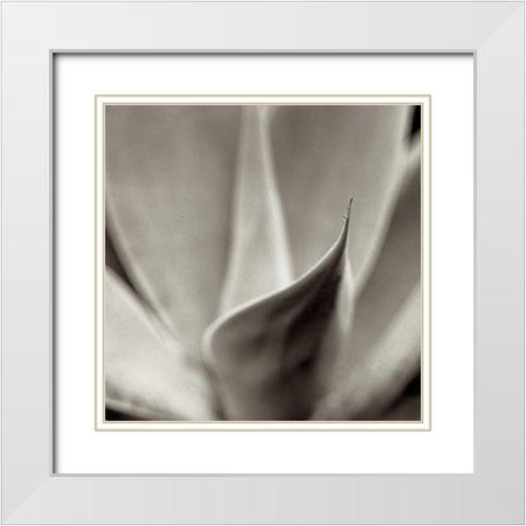 Florison - 42 White Modern Wood Framed Art Print with Double Matting by Blaustein, Alan