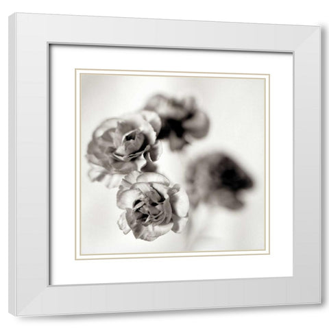 Florison - 39 White Modern Wood Framed Art Print with Double Matting by Blaustein, Alan