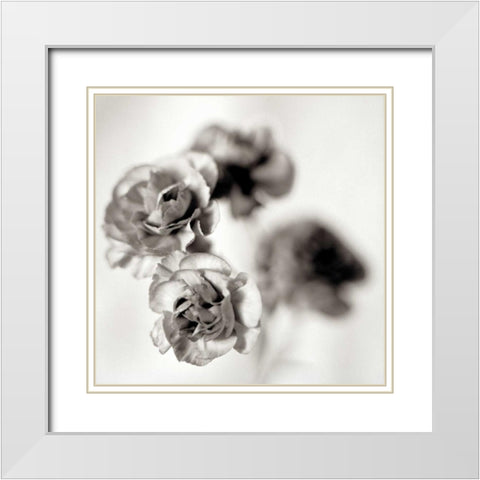 Florison - 39 White Modern Wood Framed Art Print with Double Matting by Blaustein, Alan