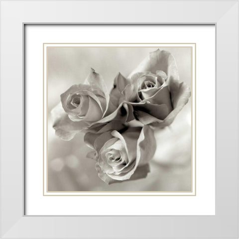 Florison - 36 White Modern Wood Framed Art Print with Double Matting by Blaustein, Alan