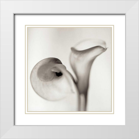 Florison - 35 White Modern Wood Framed Art Print with Double Matting by Blaustein, Alan