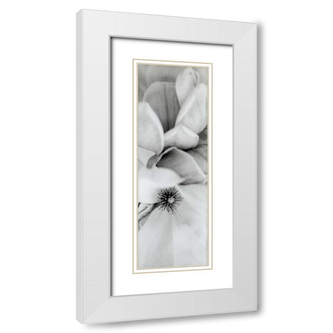 Magnolia - 2 White Modern Wood Framed Art Print with Double Matting by Blaustein, Alan