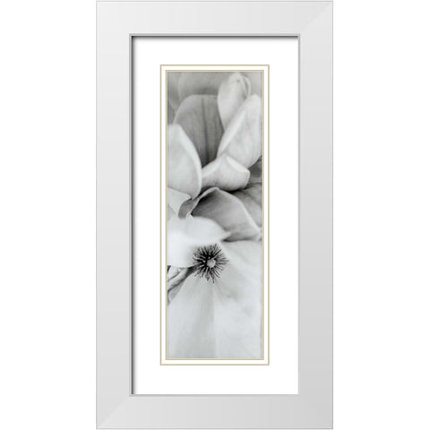 Magnolia - 2 White Modern Wood Framed Art Print with Double Matting by Blaustein, Alan