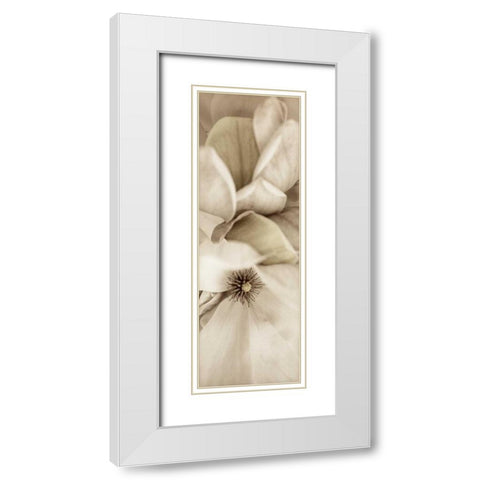 Florison - 70 White Modern Wood Framed Art Print with Double Matting by Blaustein, Alan