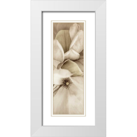 Florison - 70 White Modern Wood Framed Art Print with Double Matting by Blaustein, Alan