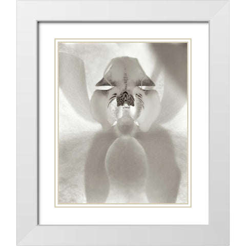 Florison - 26 White Modern Wood Framed Art Print with Double Matting by Blaustein, Alan