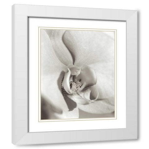 Florison - 22 White Modern Wood Framed Art Print with Double Matting by Blaustein, Alan