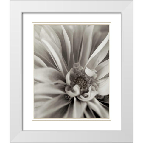 Florison - 21 White Modern Wood Framed Art Print with Double Matting by Blaustein, Alan