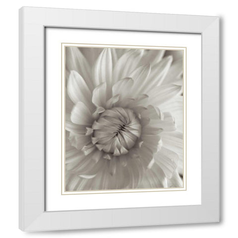 Florison - 24 White Modern Wood Framed Art Print with Double Matting by Blaustein, Alan