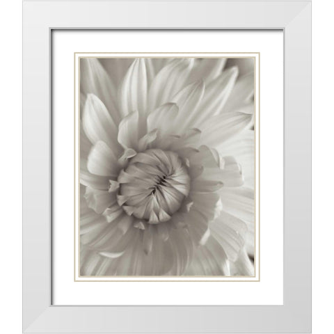 Florison - 24 White Modern Wood Framed Art Print with Double Matting by Blaustein, Alan