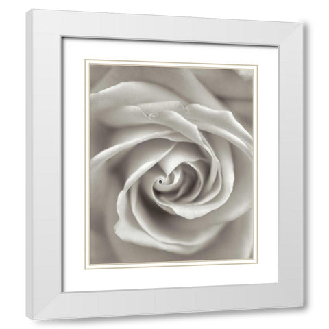 Florison - 23 White Modern Wood Framed Art Print with Double Matting by Blaustein, Alan