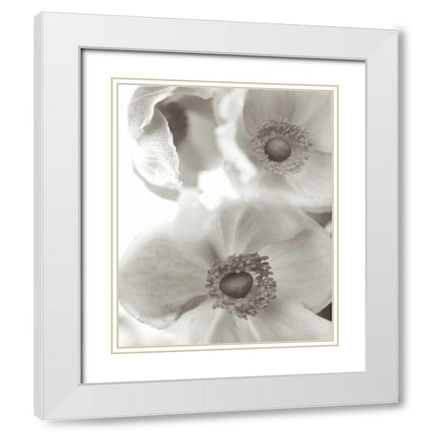 Florison - 20 White Modern Wood Framed Art Print with Double Matting by Blaustein, Alan
