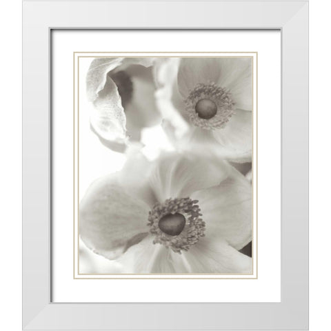 Florison - 20 White Modern Wood Framed Art Print with Double Matting by Blaustein, Alan