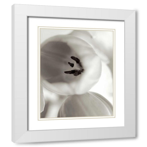 Florison - 16 White Modern Wood Framed Art Print with Double Matting by Blaustein, Alan