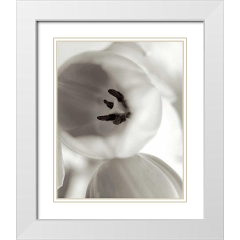 Florison - 16 White Modern Wood Framed Art Print with Double Matting by Blaustein, Alan