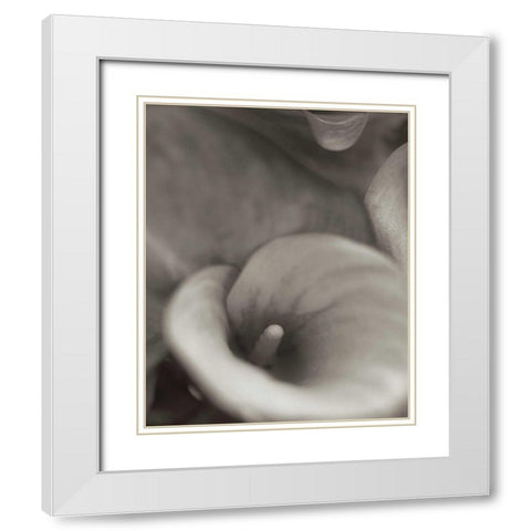 Florison - 19 White Modern Wood Framed Art Print with Double Matting by Blaustein, Alan