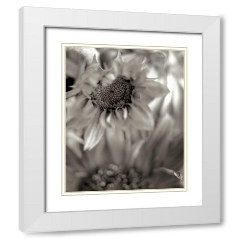 Florison - 15 White Modern Wood Framed Art Print with Double Matting by Blaustein, Alan