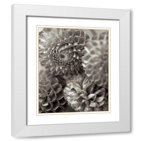 Florison - 13 White Modern Wood Framed Art Print with Double Matting by Blaustein, Alan