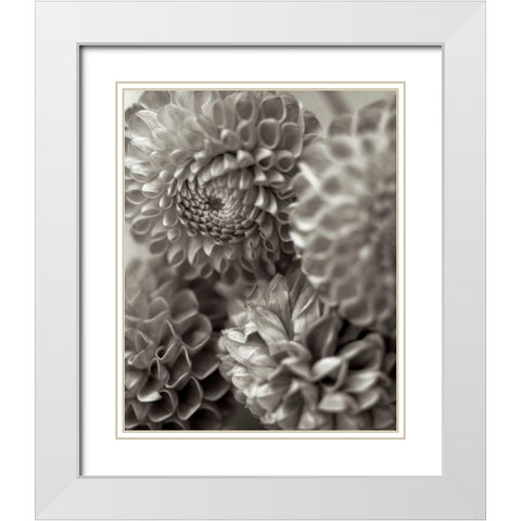 Florison - 13 White Modern Wood Framed Art Print with Double Matting by Blaustein, Alan