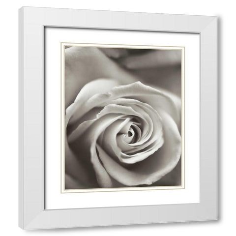 Florison - 12 White Modern Wood Framed Art Print with Double Matting by Blaustein, Alan