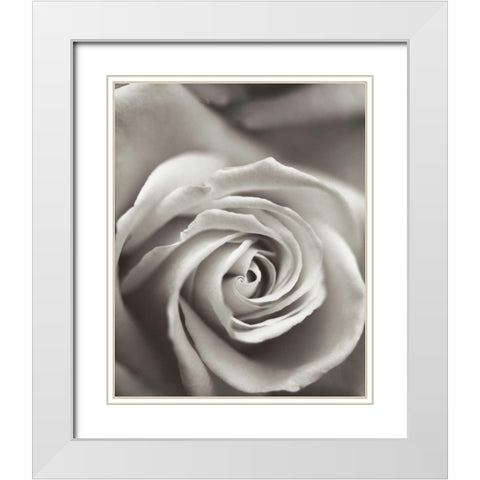 Florison - 12 White Modern Wood Framed Art Print with Double Matting by Blaustein, Alan