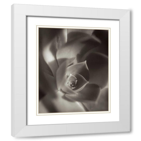 Florison - 11 White Modern Wood Framed Art Print with Double Matting by Blaustein, Alan