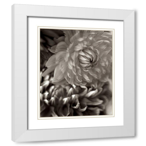 Florison - 10 White Modern Wood Framed Art Print with Double Matting by Blaustein, Alan