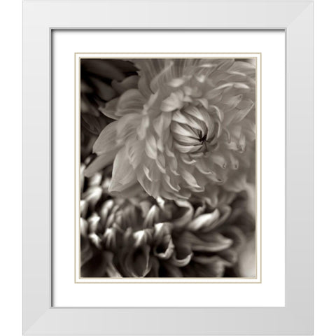 Florison - 10 White Modern Wood Framed Art Print with Double Matting by Blaustein, Alan