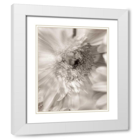 Florison - 5 White Modern Wood Framed Art Print with Double Matting by Blaustein, Alan