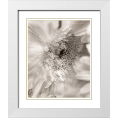 Florison - 5 White Modern Wood Framed Art Print with Double Matting by Blaustein, Alan