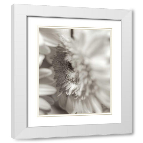 Florison - 4 White Modern Wood Framed Art Print with Double Matting by Blaustein, Alan