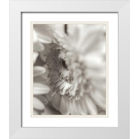 Florison - 4 White Modern Wood Framed Art Print with Double Matting by Blaustein, Alan